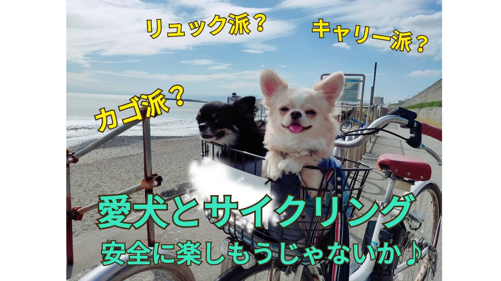 【マルチキャリーケース】小型犬など自転車のかごに入れられるバッグ！