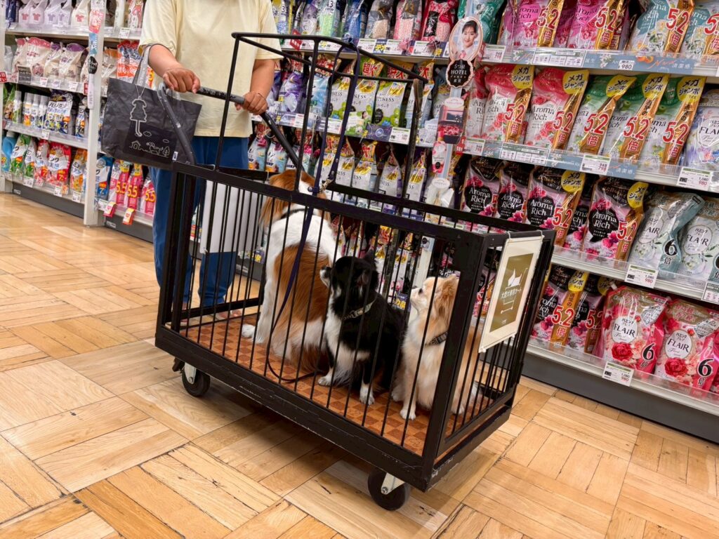 カインズ秦野店の犬用カート