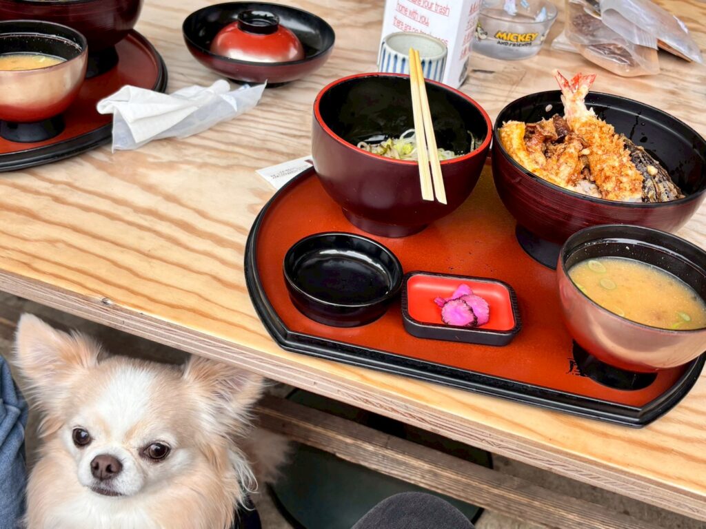 高尾 栄茶屋 犬