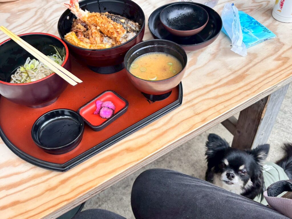 高尾 栄茶屋 犬