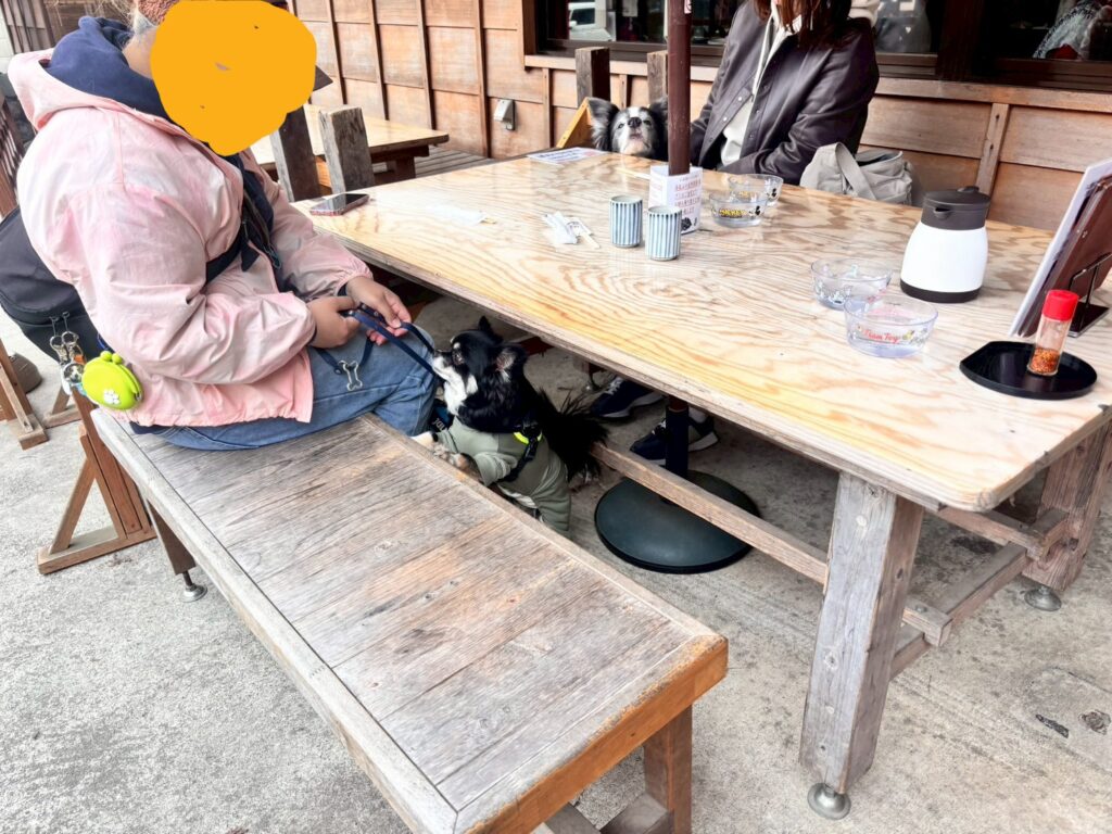 高尾 栄茶屋 犬